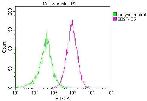 CD81 Monoclonal Antibody