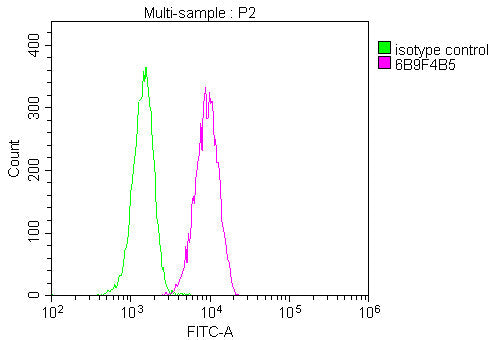 CD81 Monoclonal Antibody