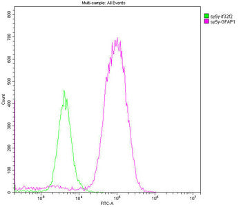 GFAP Monoclonal Antibody
