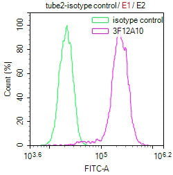 Phospho-Histone H3(Ser28) Monoclonal Antibody