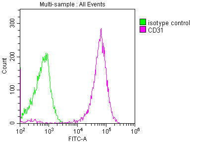 CD31 Monoclonal Antibody