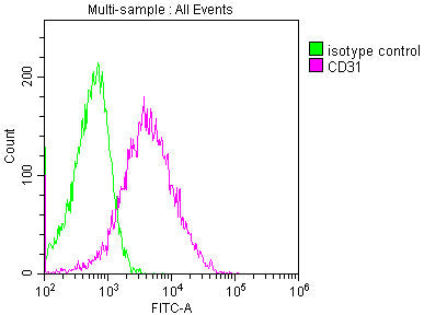 CD31 Monoclonal Antibody