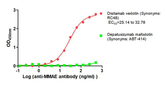 MMAE Monoclonal Antibody