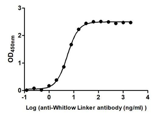 Whitlow linker Monoclonal Antibody