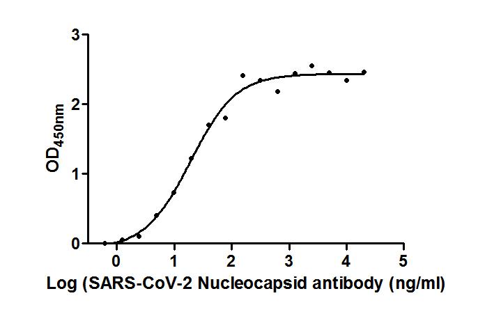 N Antibody