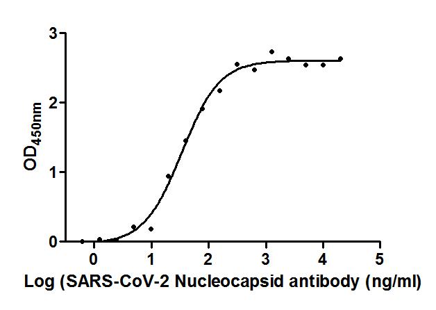 N Monoclonal Antibody