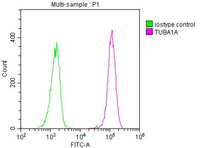 TUBA1A Monoclonal Antibody
