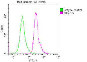 NANOG Monoclonal Antibody
