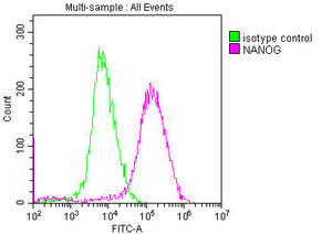 NANOG Monoclonal Antibody