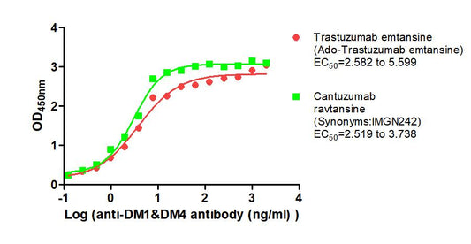 DM1&DM4 Monoclonal Antibody