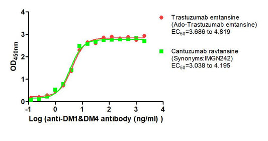 DM1&DM4 Monoclonal Antibody