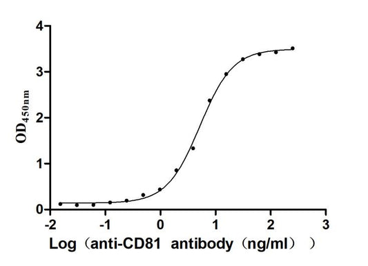 CD81 Recombinant Monoclonal Antibody