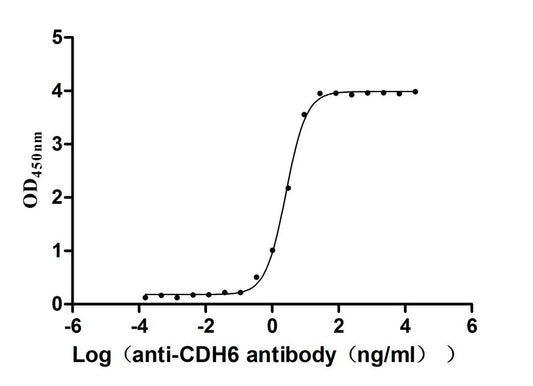 CDH6 Recombinant Monoclonal Antibody