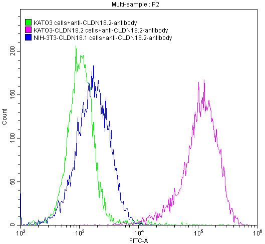 Claudin-18.2 Monoclonal Antibody