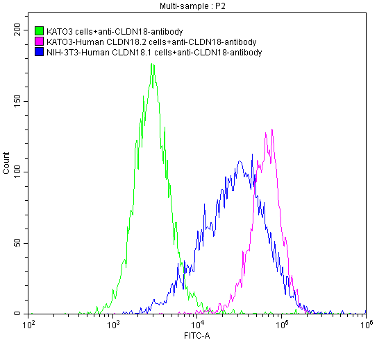 CLDN18 Monoclonal Antibody