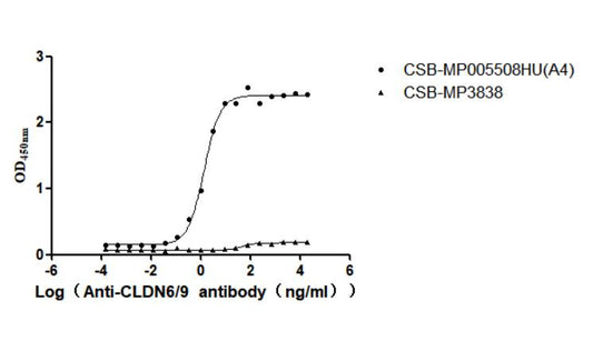CLDN6/9 Recombinant Monoclonal Antibody