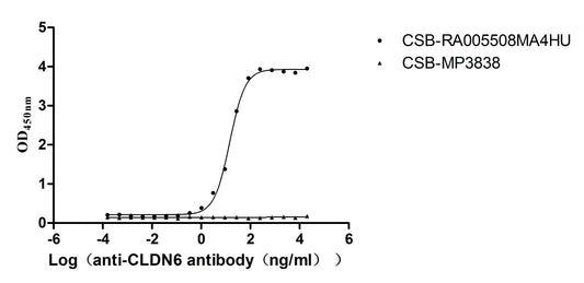 CLDN6 Recombinant Monoclonal Antibody
