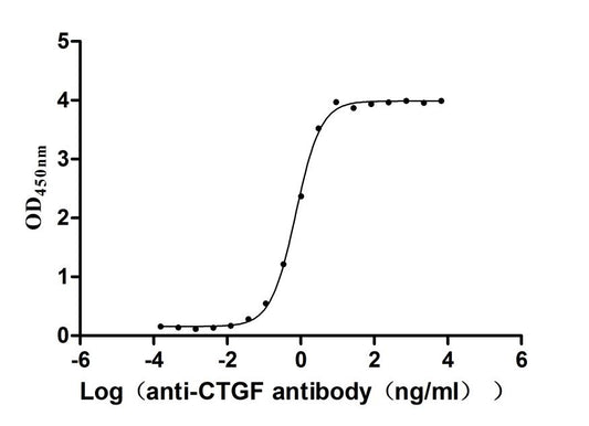 CTGF Recombinant Monoclonal Antibody