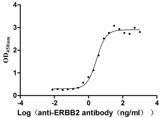 ERBB2 Recombinant Monoclonal Antibody