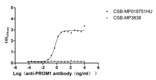 PROM1 monoclonal antibody