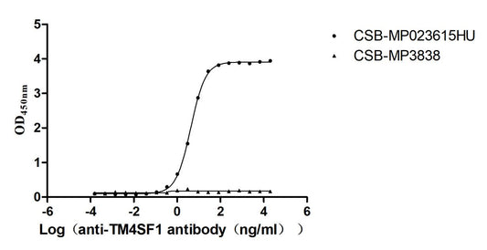 TM4SF1 Recombinant Monoclonal Antibody