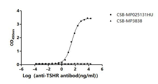 TSHR Recombinant Monoclonal Antibody