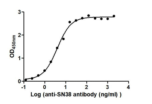 SN38 Recombinant Monoclonal Antibody