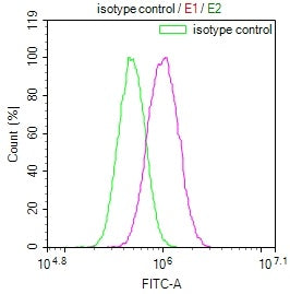 MADCAM1 Antibody