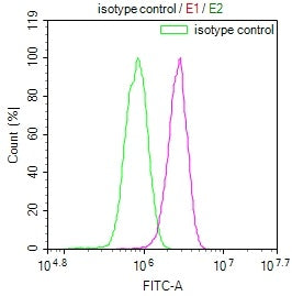 KLRG1 Antibody