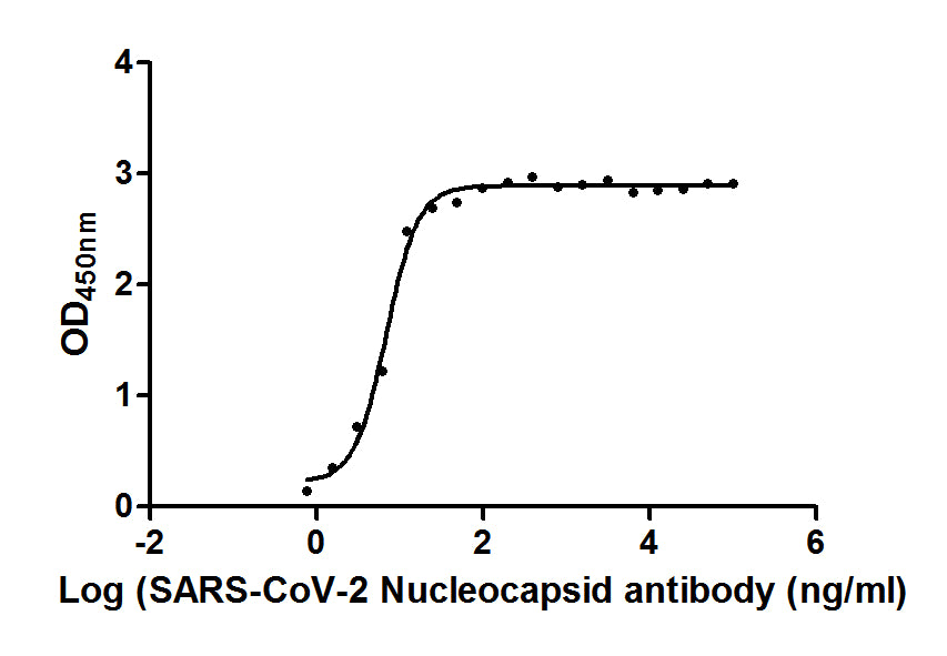 N Antibody