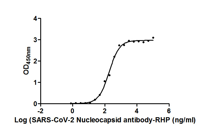 N Antibody, HRP conjugated