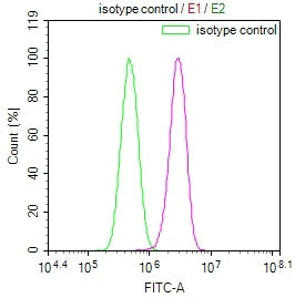 ENTPD1 Antibody