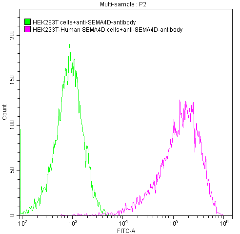 SEMA4D  Monoclonal Antibody