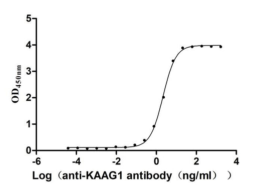 KAAG1 Recombinant Monoclonal Antibody