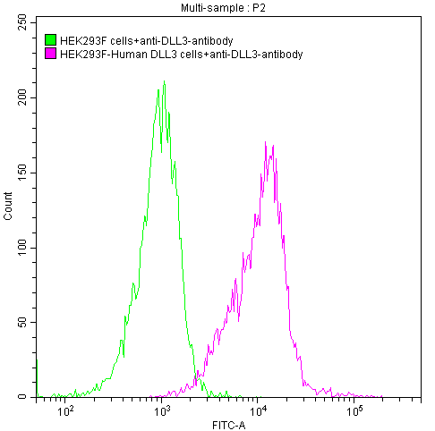 DLL3 Monoclonal Antibody
