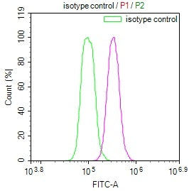 LDHC Antibody