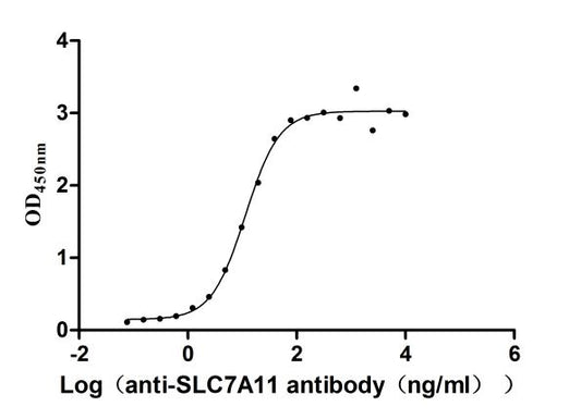 SLC7A11 Recombinant Monoclonal Antibody