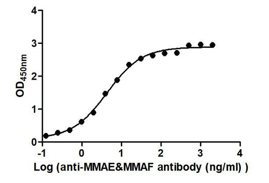 MMAE&MMAF Recombinant Monoclonal Antibody