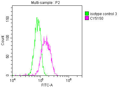 MYC Antibody