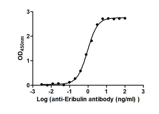 Eribulin Recombinant Monoclonal Antibody
