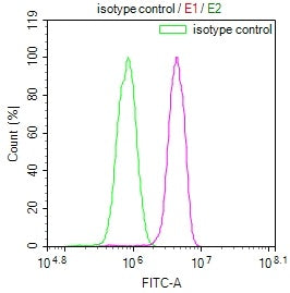 PTX3 Antibody