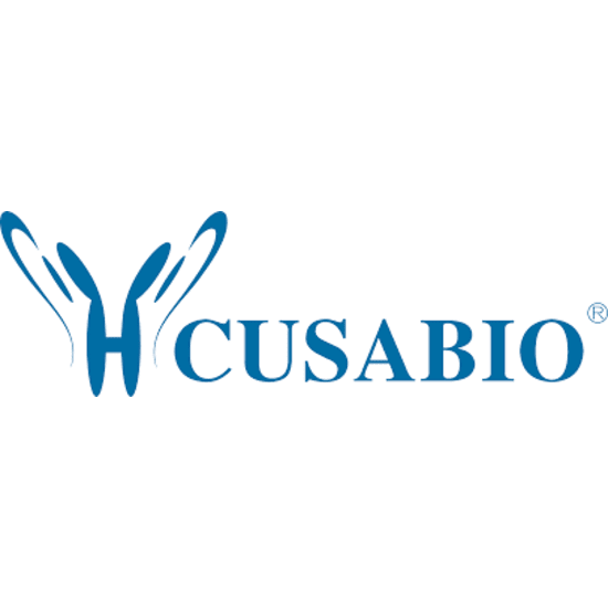 PAEP Antibody