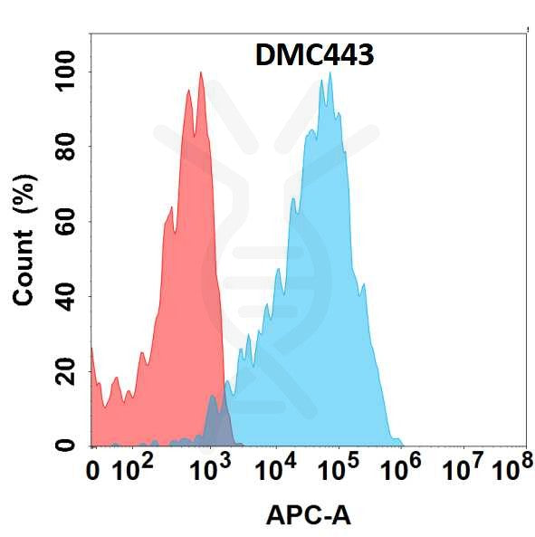 Anti-CXCR7 antibody(DMC443); IgG1 Chimeric mAb