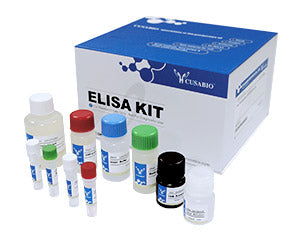 Rat Cystatin C,Cys-C ELISA Kit