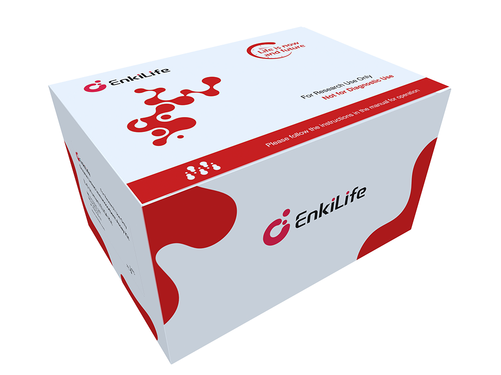 CXCL2 (Rat) ELISA Kit