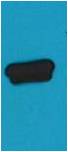 AmCyan-Tag Mouse mAb