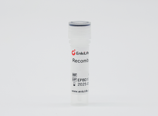 GMP Recombinant Human Tissue Factor