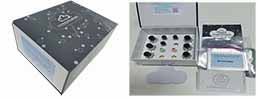Magnetic Luminex Assay Kit for Surfactant Protein B (SP-B) ,etc.