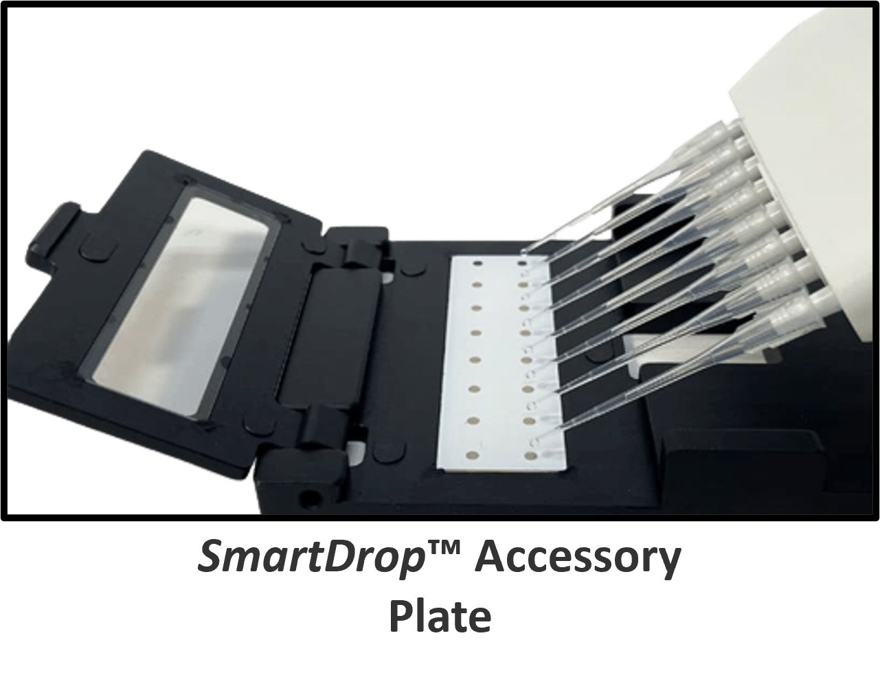 SmartDrop Accesory Plate for UV-Range Microplate Readers