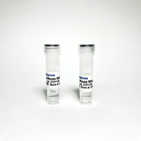 Anti-Mouse PD-L1 Rat Monoclonal Antibody (TBS10251) - 5 MG